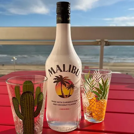 Apartment Malibu Face A La ! *